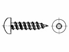 DIN 7981 Blechschraube LIKO Form C mit Spitze Edelstahl rostfrei A4
